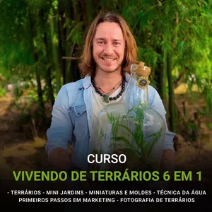 Imagem de capa para o Curso online Curso Vivendo de Terrários 6 em 1