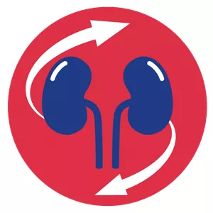 Imagem de capa para o Evento presencial Atualização em Hemodiálise - Vitória/ES