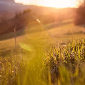 Imagem de capa para o Ebook Desafios e Estratégias para Lidar com o TDA na Vida Adulta e Adolescente