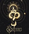 Deb Rubin Dance Alchemy logo