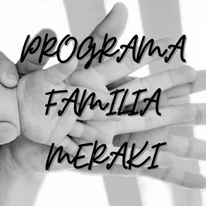 Imagen de portada para Curso online PROGRAMA FAMILIA MERAKI