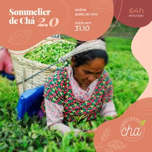 Imagem de capa para o Curso online Formação em Sommelier de Chá 2.0 - 64h - turma antiga