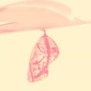 Imagen de portada para Curso online Mamá Pupa: Hacia la Metamorfosis Materna