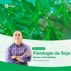 Imagem de capa para o Curso online Fisiologia da Soja: Manejo e Rentabilidade 