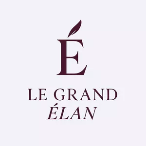 Imagem de capa para o Curso online Le Grand Élan  