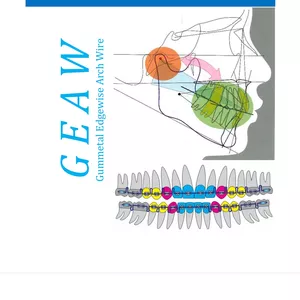 Imagen de portada para Ebook Libro Geaw ortodoncia