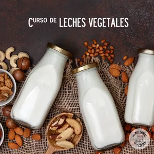 Imagen de portada para Curso online Curso Leches Vegetales Caseras