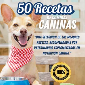 Imagen de portada para Ebook 50 Recetas de Comidas Caseras Caninas
