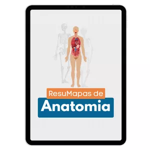 Imagem de capa para o Curso online ResuMapas de Anatomia