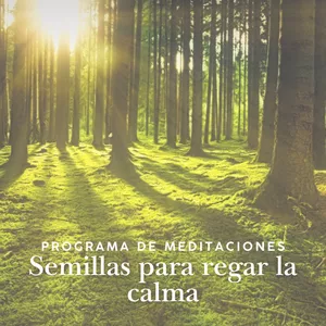 Imagen de portada para Curso online MEDITACIONES PARA CAMBIAR TU DISCURSO INTERNO