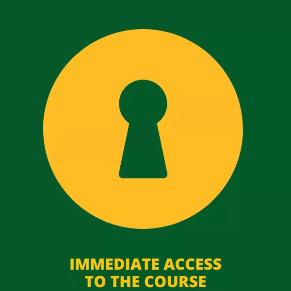 brazilian portuguese 360 course - immediate access