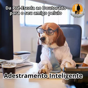 Capa do curso 