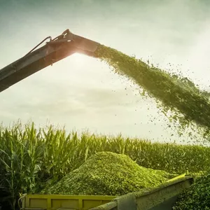 Imagem do curso Curso Práticas e Técnicas Para a Produção de Silagem