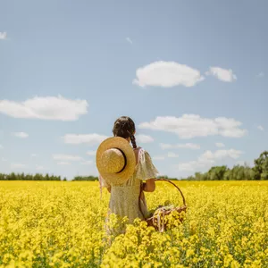 Imagem do curso Curso de EFT: Alcançando o equilíbrio emocional