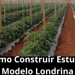 Imagem de capa para o Curso online Como Construir Estufas Modelo Londrina