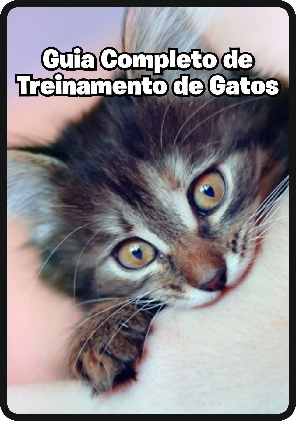 Guia Completo de Treinamento de Gatos