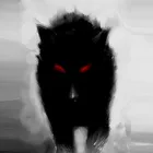 Foto do autor KRANE INVESTOR