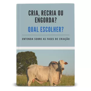 Imagem de capa para o Ebook Cria recria ou engorda?