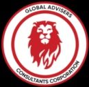 The Global University