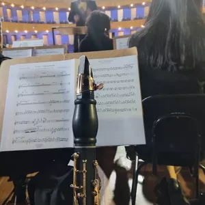 Imagem de capa para o Curso online Mini curso online sonoridade no clarinete 