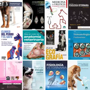Imagen de portada para Curso online Libros Veterinarios Digitales