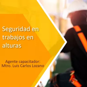 Imagem principal do produto Curso de seguridad e higiene para trabajadores y seguridad en trabajos en alturas