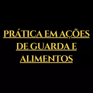 Imagem de capa para o Curso online VIVER DA ADVOCACIA COM PRÁTICA EM AÇÕES DE GUARDA E ALIMENTOS