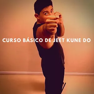 Imagem do curso Curso Básico de Jeet Kune Do - Treino de Luta em Casa 