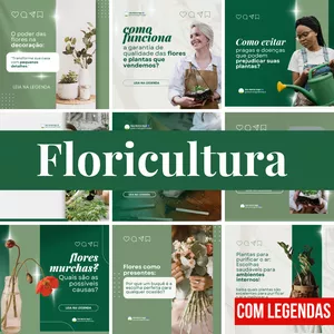 Imagem do curso CANVA PACK FLORICULTURA