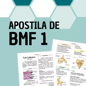 Imagem principal do produto APOSTILA DE BMF 1