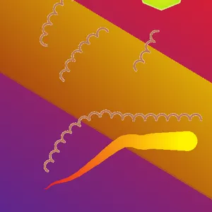 Cover image for Online course PNG vector images for mockups