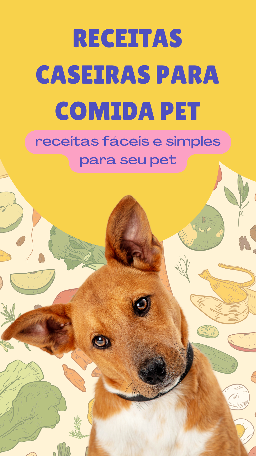 Imagem do curso Receitas Caseiras para Comida Pet