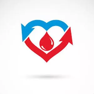 Image de couverture pour le Cours en ligne La Cure Circulatoire