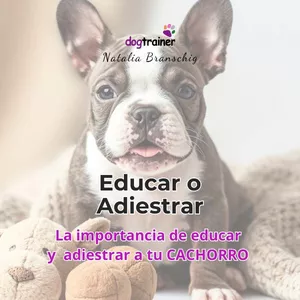 Imagen de portada para Ebook EDUCAR O ADIESTRAR A TU PERRO CACHORRO🐾