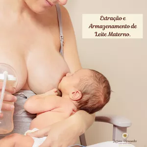 Imagem de capa para o Ebook Extração e Armazenamento de Leite Materno