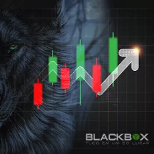 Imagem de capa para o Curso online SALA AO VIVO OB