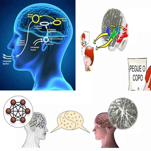 Este curso apresenta a neurofisiologia da linguagem verbal assim como a sua estrutura semântica e gramatical e como essa capacidade humana de comunicação gera um ambiente social de imaginações e ideias compartilhadas no tempo e no espaço cultural. O curso aborda então o fenômeno da escrita e apresenta os mecanismos neurais da leitura, explicando as diferentes dificuldades apresentadas por pessoas com dislexia. Com base nesse conhecimento, o curso propõe metodologias e atividades educativas para auxiliar o aprendizado da leitura e da escrita. Essas atividades são discutidas com os participantes em oficinas de trabalho online.