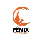 Fenix Work