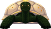 Old Turtle Code FR