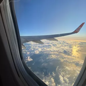 Imagem de capa para o Serviço online Encontre a sua melhor versão - 12 sessões de Coaching + Análise de Perfil Comportamental