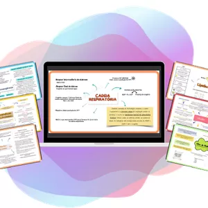 Imagem de capa para o Ebook Mapa Mental: Vias metabólicas 