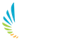 The Purpose Promise