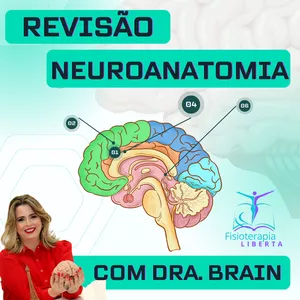Imagem de capa para o Curso online CURSO: NEUROANATOMIA - REVISÃO com Profa. Dra. Cynthia Bedeschi