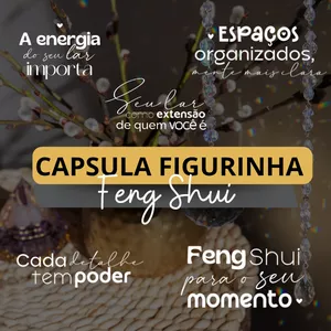 Imagem de capa para o Curso online CAPSULA FIGURINHAS FENG SHUI