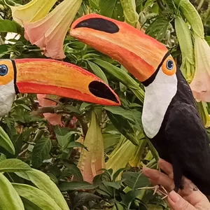Imagem do curso Tucano de Papel - Curso de Papietagem 