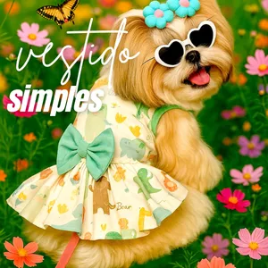 Imagem de capa para o Curso online Vestido Pet Casual