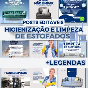 KIT CANVA LIMPEZA E HIGIENIZAÇÃO DE ESTOFADOS por MARGARETE TOLENTINO