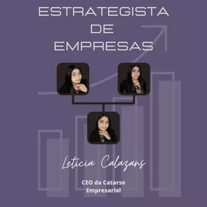 Imagem de capa para o Serviço online Estrategista de Empresas