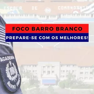 Imagem de capa para o Curso online Foco Barro Branco