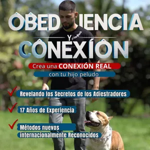 Imagen de portada para Curso online Adiestramiento canino  - obediencia - psicología básica.